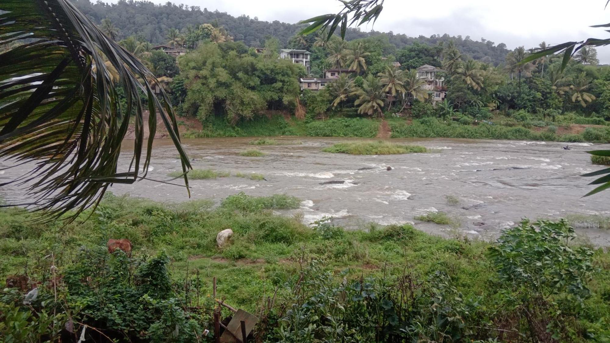 Kandy River Garden Luaran gambar